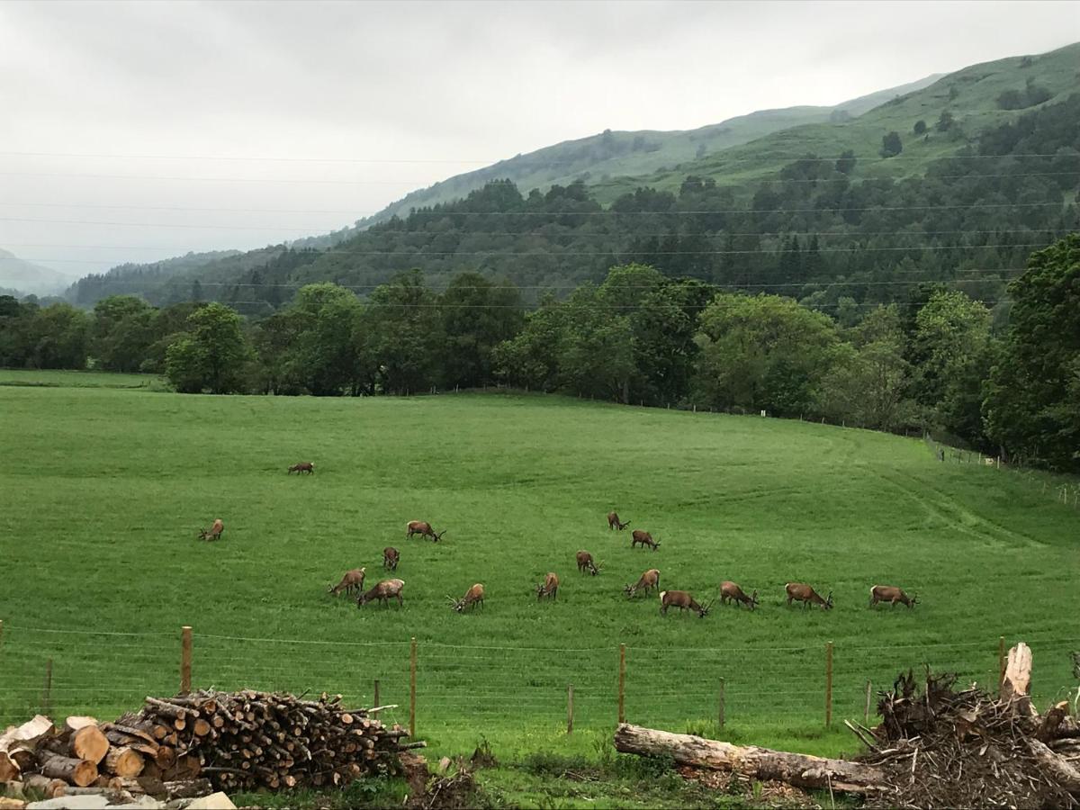 Lochay Lodges Killin Luaran gambar